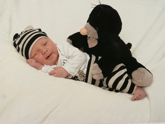 Die Maulwurfkinder - Die Kindertagespflege in Hilzingen Die Maulwurfkinder